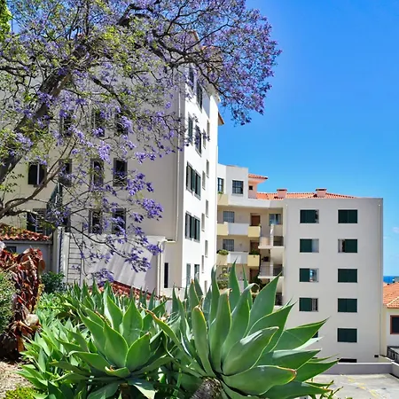 Encarnacao Apartment, A In Madeira