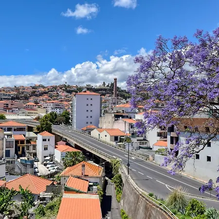 Encarnacao Apartment, A In Madeira Funchal (Madeira)