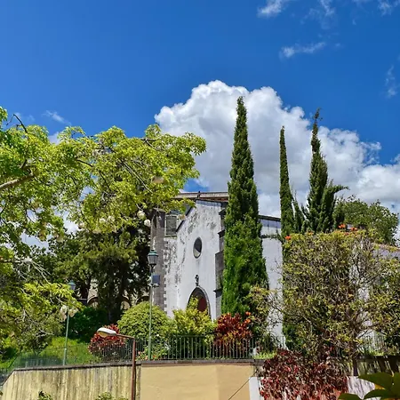 Encarnacao Apartment, A In Madeira Appartement